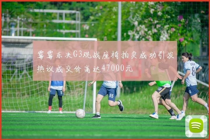霉霉东决G3观战座椅拍卖成功引发热议成交价高达47000元